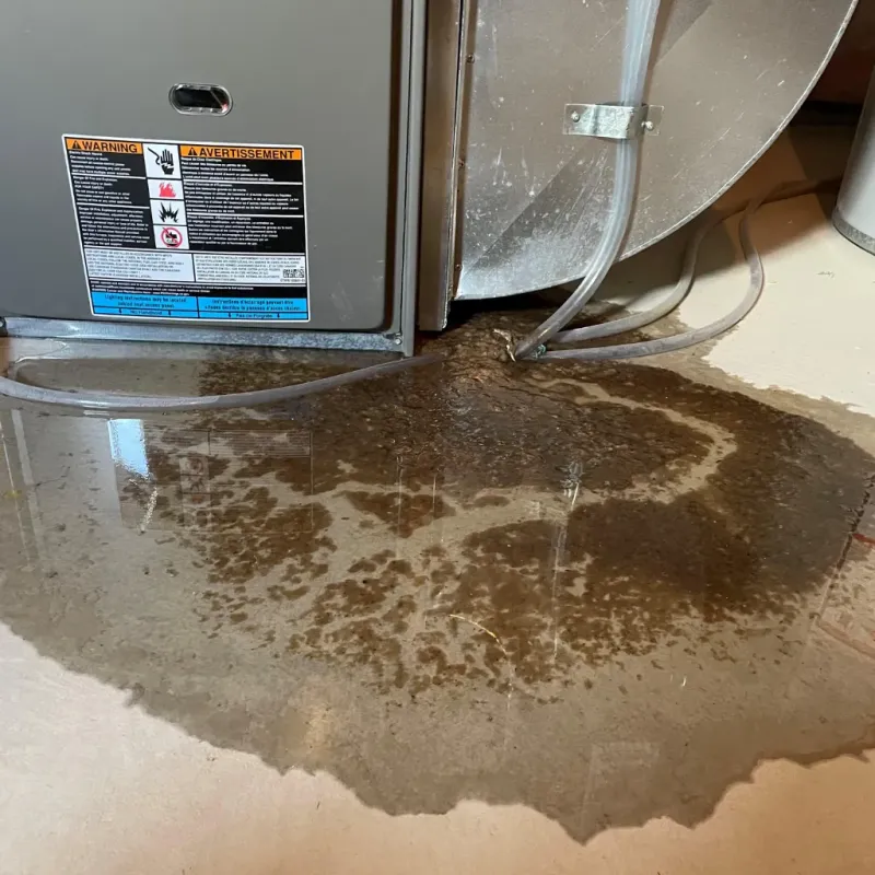 Appliance Leak Cleanup in Laurel Bay, SC