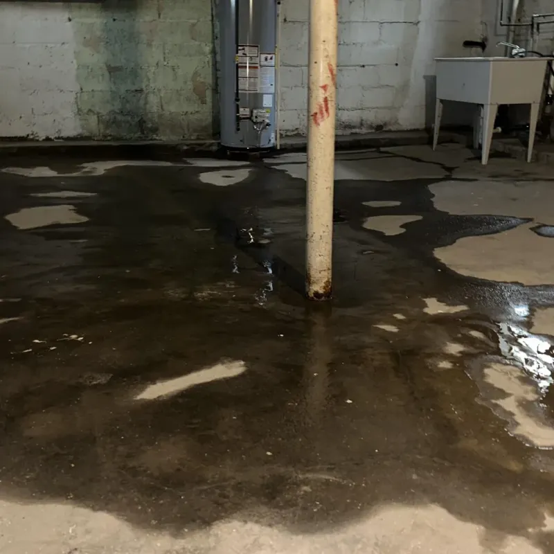 Emergency Water Extraction And Removal in Laurel Bay, SC
